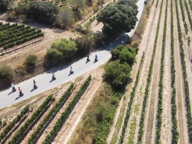  Segway tra i vigneti 