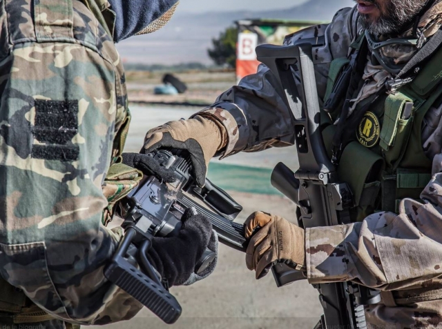  Consegnare l'arma