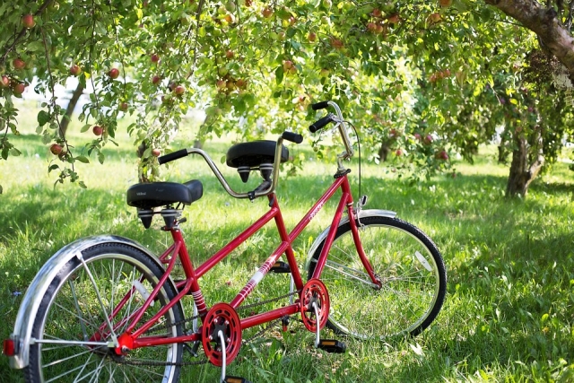 Vélo tandem pour deux adultes 