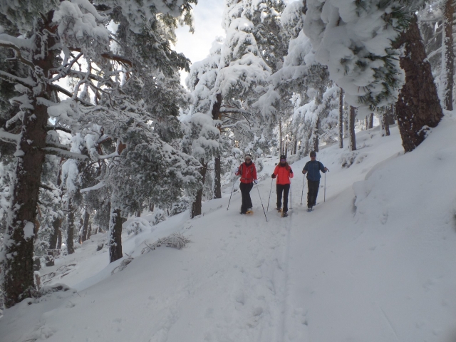  Schneeschuhwanderung 