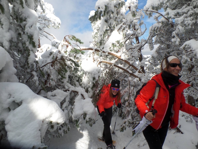  Spaß im Schnee in Navacerrada 