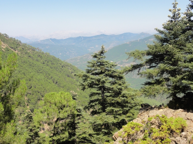 Preciosos paisajes de la Sierra de Málaga