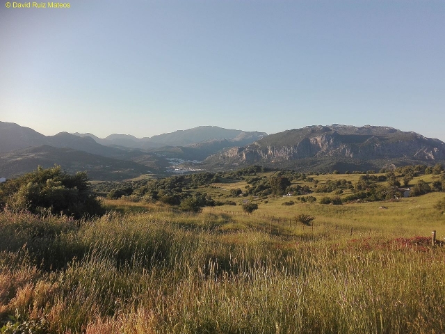  Parco Naturale della Sierra de Grazalema 