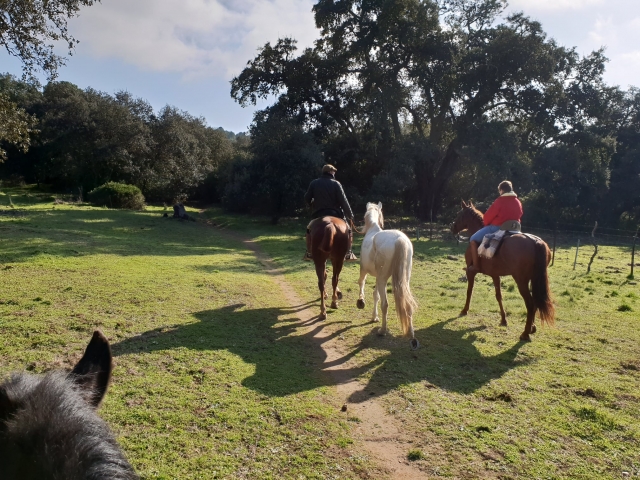 Paseando a caballo en Córdoba