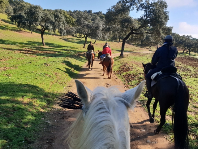 Paseo a caballo de 1 hora