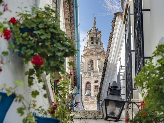 Vista de la mezquita