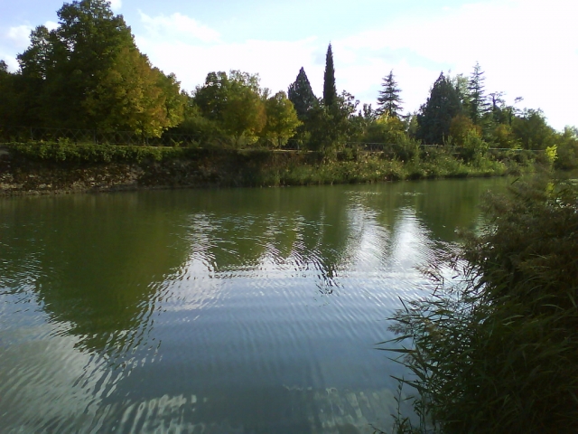 Navegaras en el Rio tajo