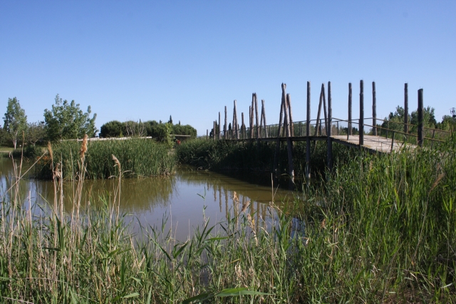 Profitez de la nature 