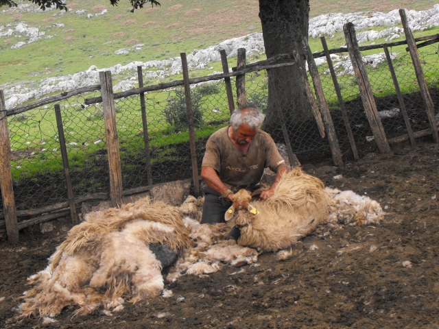 Conoce el trabajo de los pastores
