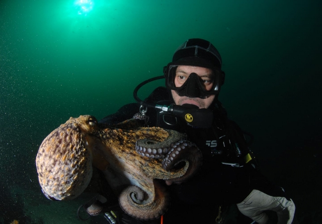 Bautismo de buceo en Islas Cíes