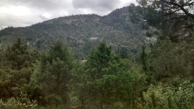 Ruta al aire libre