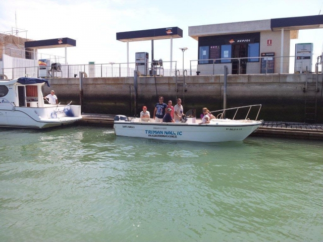 Dipol 600 