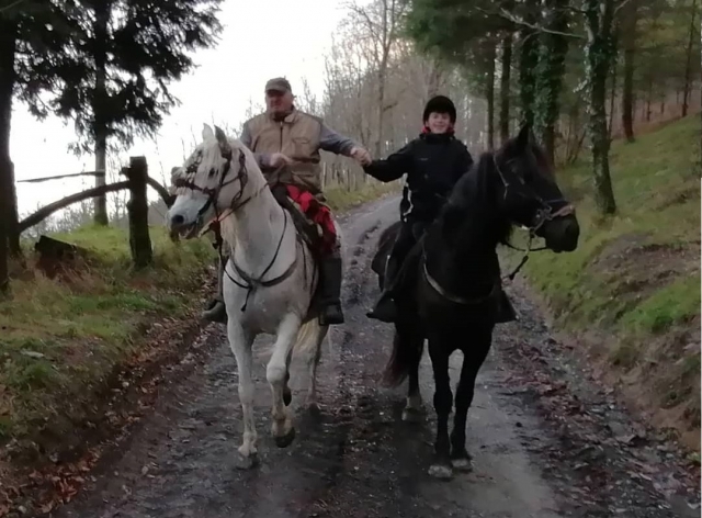  Main dans la main avec les chevaux
