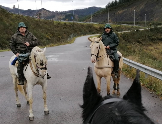  Randonnée à cheval entre amis 