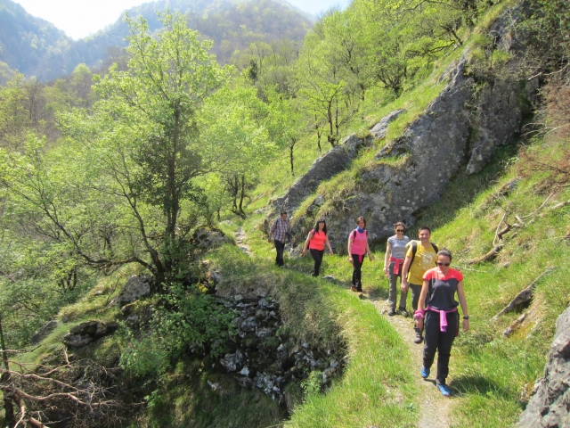 Excursion con grupos reducidos