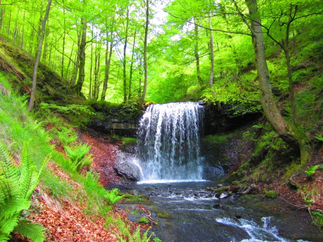 Pequeños paraisos en pueblo de Navarra