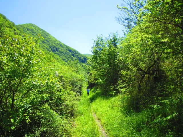 Ruta por el Valle con un guia experto