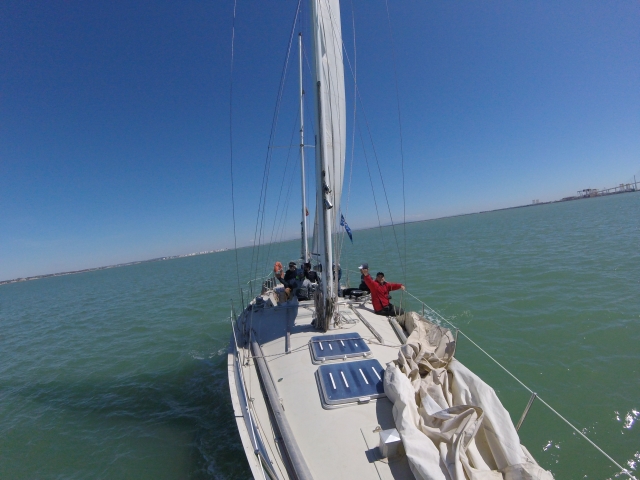  Veleiro à vela 