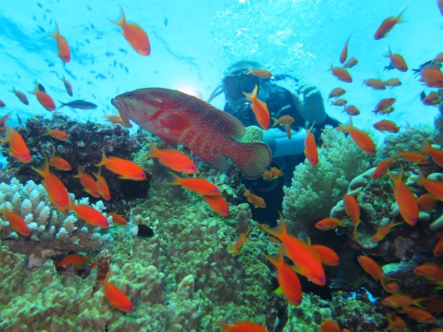  At the bottom of the Atlantic Ocean