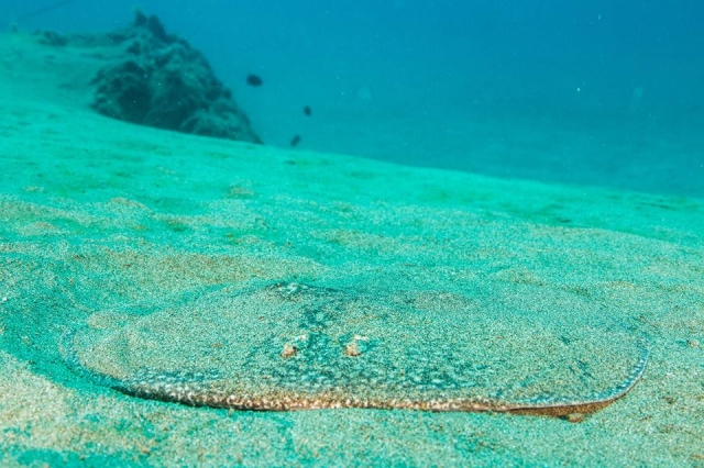 Aguas turquesas del atlantico