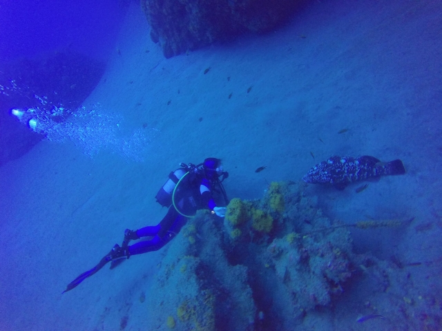 Scuba Diving en las costas de Lanzarote