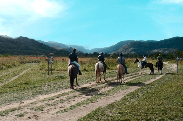 Horseback riding guide through the firebreak 