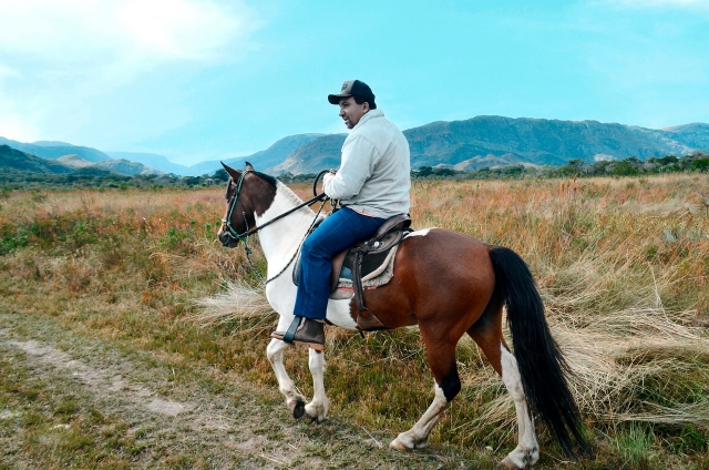  Horseback riding through the Sierra firebreak 