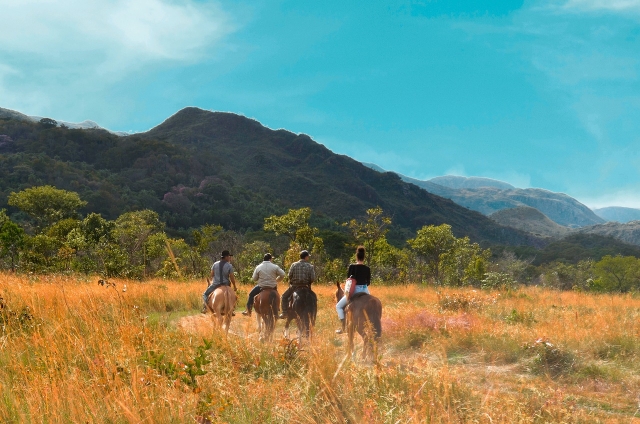  Horseback riding route through the Robledo firebreak 