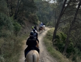 Ruta a caballo por la Sierra de Collserola, 1 hora