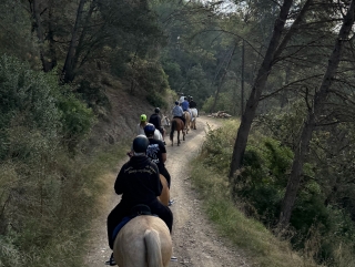 Cabalgamarra por la Sierra de Collserola, 1 hora