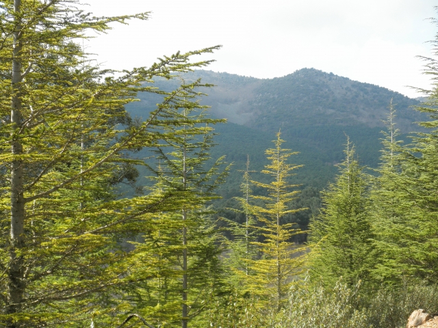  Dans la Sierra Morena, près de Cordoue 