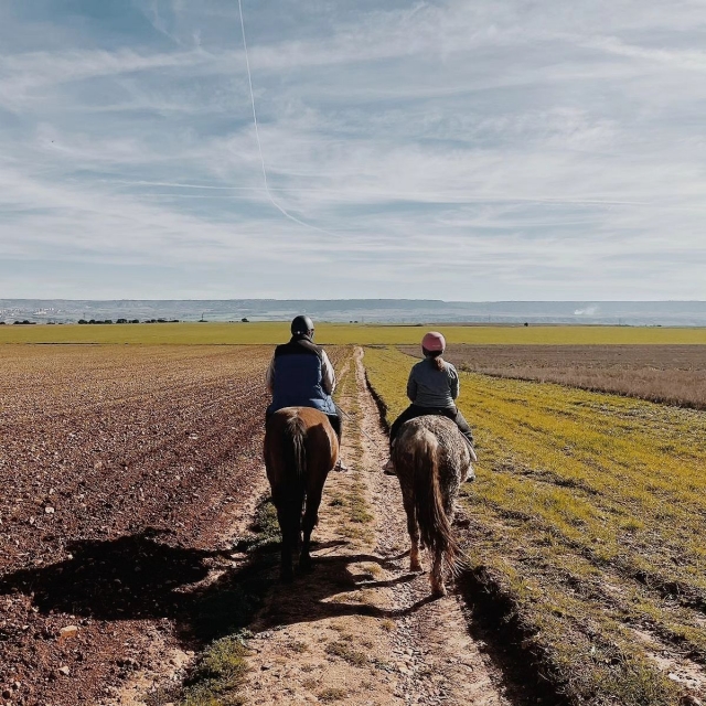 Ruta guiada a caballo por el campo Cabanillas del Campo