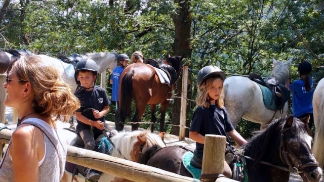 Auf dem Rücken von Pferden 