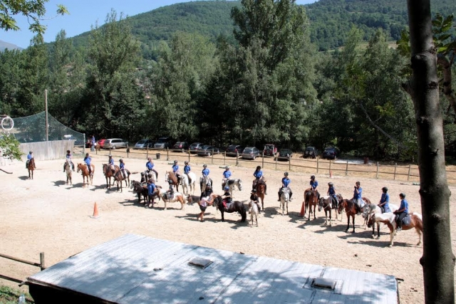  Vorbereitete Pferde und Ponys 
