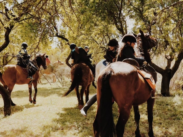 Ruta a caballo por Guadalajara