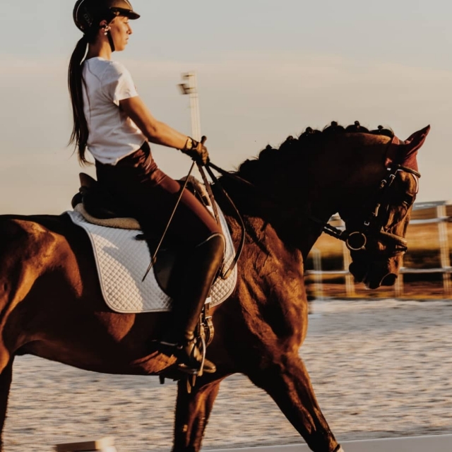 Itinerario privato a cavallo guidato a Cabanillas del Campo 