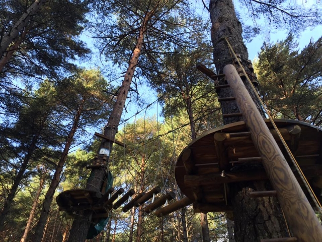Escalada al arbol