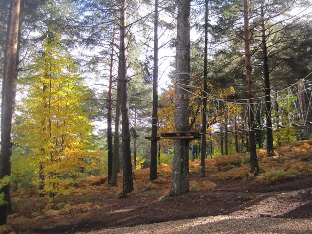  Installations with bridges and zip lines 