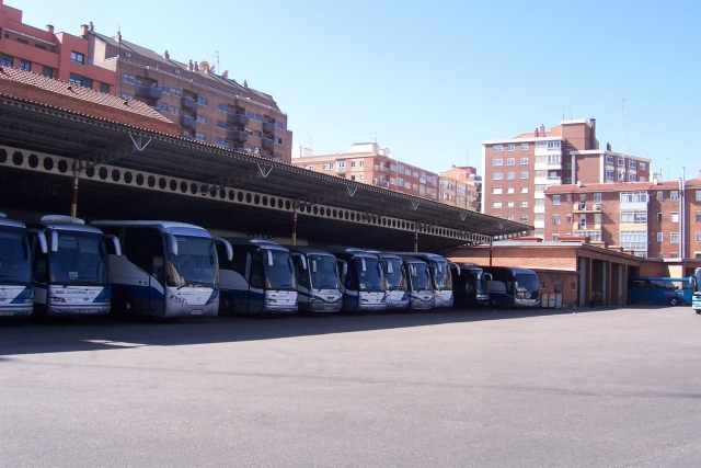  Bus pour se rendre dans la zone choisie 
