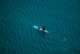 Renta de material de Paddle Surf Castelldefels