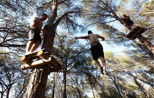  Avanzando tra gli alberi