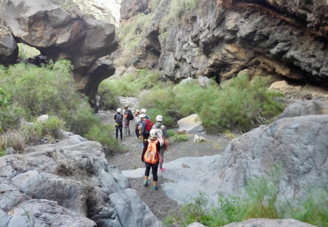  Trekking pelos trilhos de Tenerife 