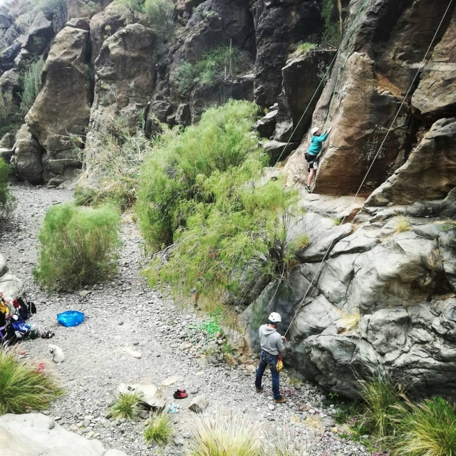  Climbing and rappelling 