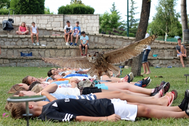  Eule fliegt über die Teilnehmer 