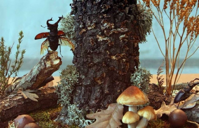  Nachbildungen von Insekten