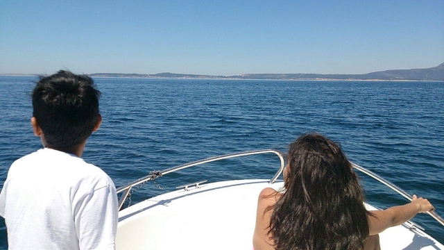  Segeln in bester Gesellschaft