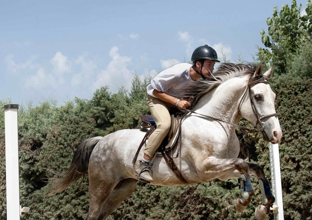  Reitkurse 