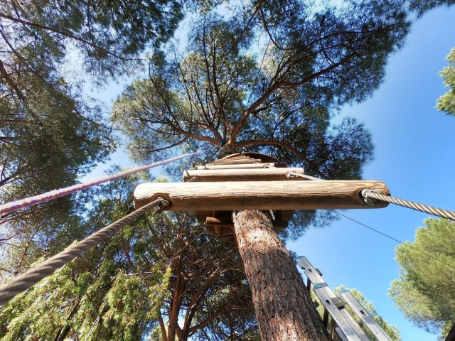 Escaleras en de madera Torrelodones