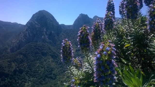  Paesaggio di La Gomera