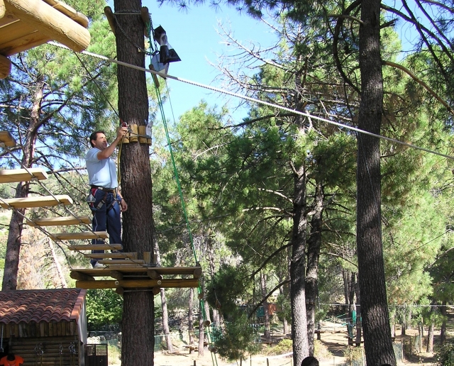  Circuito di arrampicata sugli alberi 